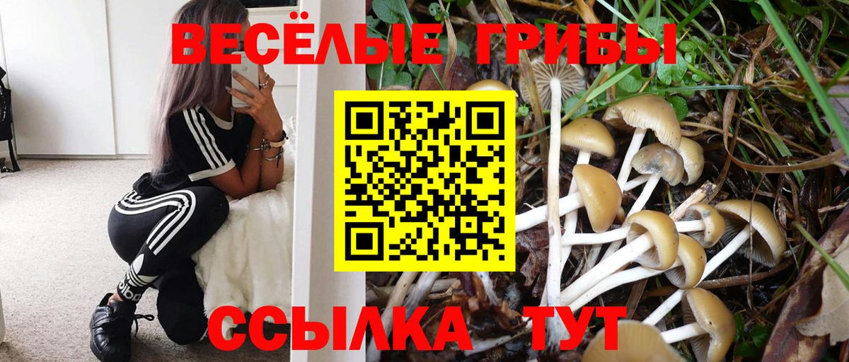 Галлюциногенные грибы мухоморы Можга